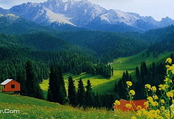 一万泉旅游度假村第 5 张图片