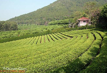 安溪凤山风景旅游区第 4 张图片