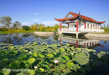 清水湖生态旅游度假村第 1 张图片