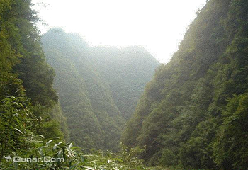 野洞河第 6 张图片