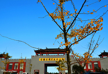 安陆钱冲古银杏生态旅游区第 28 张图片