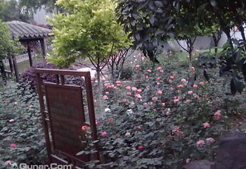 高静园第 3 张图片