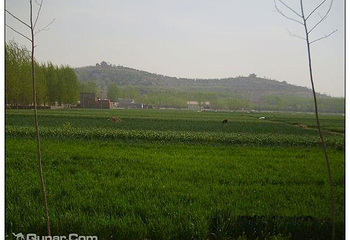 菏泽金山第 3 张图片