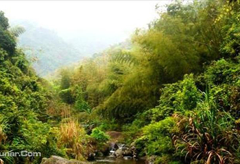五虎山风景区第 14 张图片