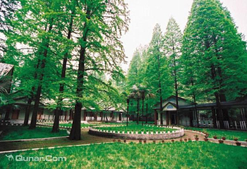 水杉山庄第 3 张图片