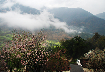 婺源篁岭景区第 8 张图片