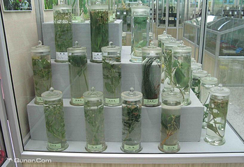 中医大学医药博物馆第 2 张图片
