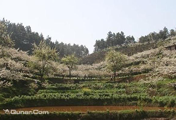 佛来山第 2 张图片