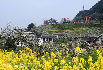 佛来山第 1 张图片