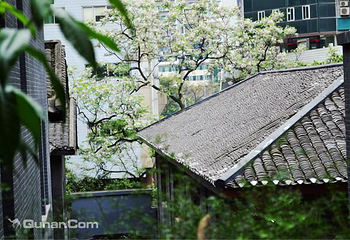 重庆大韩民国临时政府旧址陈列馆第 10 张图片