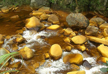 东北角海岸金九城乡观光第 3 张图片
