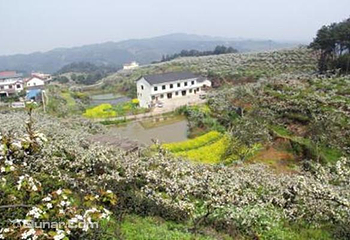 佛来山第 3 张图片