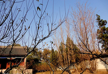 敕建三义宫第 7 张图片