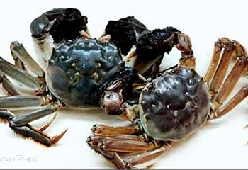 阳澄湖老许蟹庄第 5 张图片