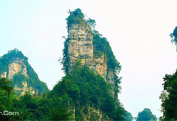 毕节金沙景区第 3 张图片