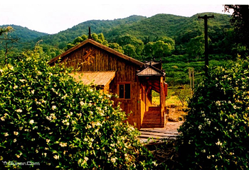马岙旅游区第 3 张图片