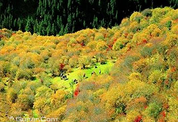 四川好玩旅行护照第 3 张图片