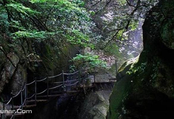 醉山野景区第 27 张图片