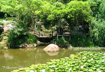 巢湖桃花岛第 3 张图片