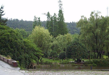 四方山植物园第 2 张图片