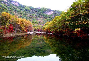 蒲石河森林公园第 11 张图片