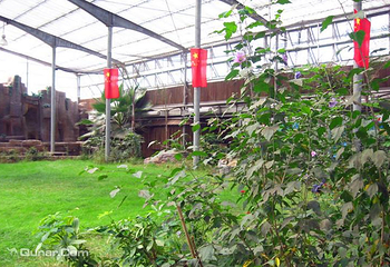 绿色生态园第 2 张图片
