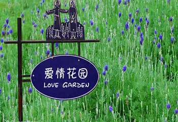 花博园第 5 张图片