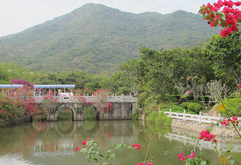 三亚南山文化旅游区第 42 张图片