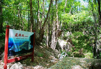 太子山生态旅游区第 4 张图片