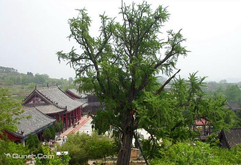 甘泉禅寺第 3 张图片