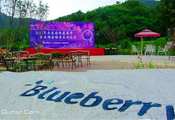 蓝莓谷庄园第 12 张图片