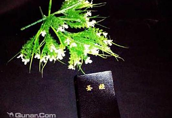 谜屿密室逃脱第 2 张图片