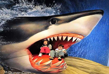 德州瞳艺3D错觉艺术馆第 2 张图片