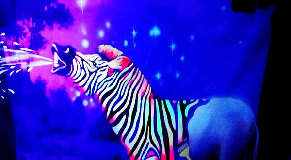 芜湖3D魔幻游戏馆