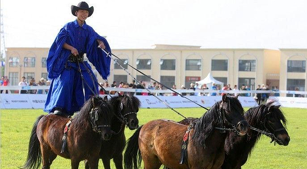 千岛湖马术公园