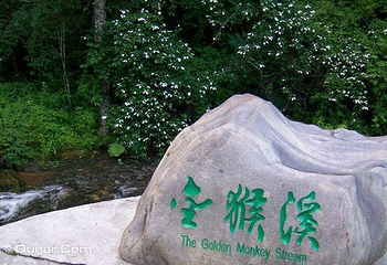 金猴岭第 4 张图片