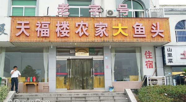 天目湖天福楼农家大鱼头