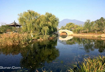 古生物仿生恐龙主题公园第 5 张图片