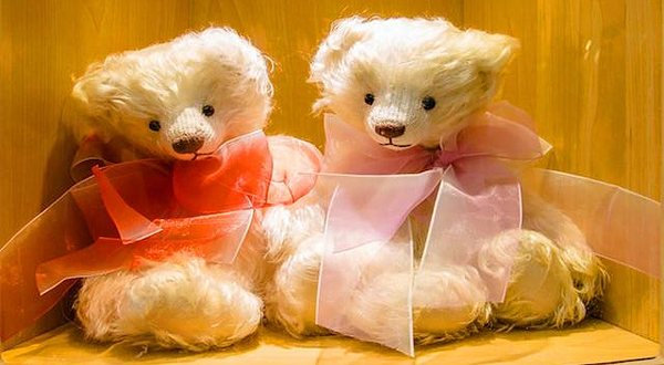 泰迪珍藏展111周年中南城纪念展