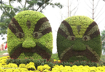 扬中市园博园金秋菊花•彩灯展第 9 张图片