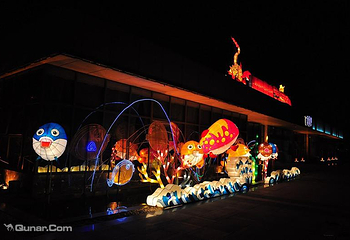 扬中市园博园金秋菊花•彩灯展第 17 张图片