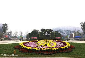 扬中市园博园金秋菊花•彩灯展第 5 张图片