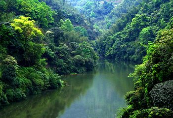 赤水丹霞旅游区·大瀑布第 5 张图片