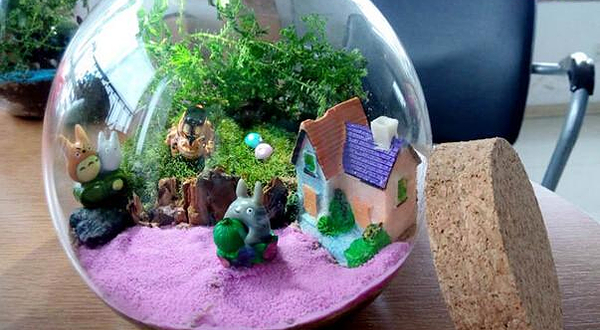 微世界鲜活景观DIY