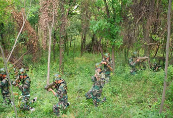 紫金山迪脉真人CS镭战基地第 1 张图片