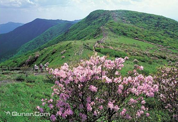 小白山国立公园第 4 张图片