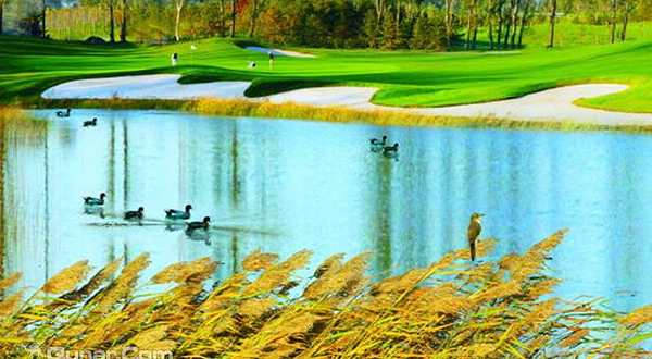 北京伯爵园高尔夫