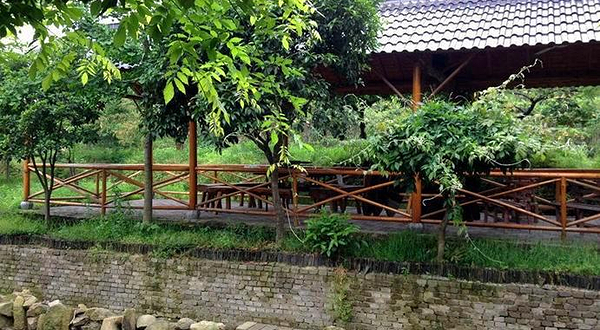 深山沟家庭农场