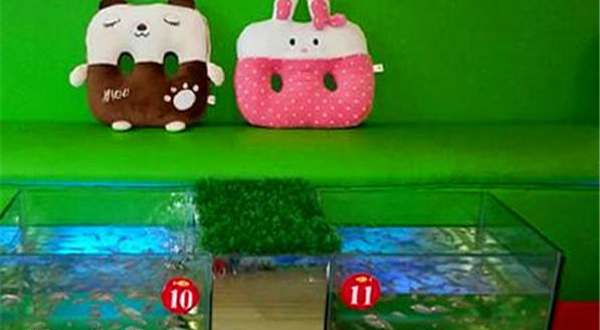 南昌中山路亲亲鱼疗