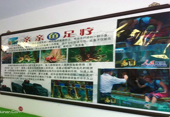 亲亲鱼鱼疗馆第 2 张图片